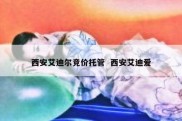 西安艾迪尔竞价托管  西安艾迪爱
