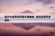 房产行业竞价托管方案模板  竞价托管专业团队