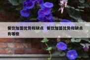 餐饮加盟优势和缺点  餐饮加盟优势和缺点有哪些