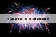 竞价托管专业公司  竞价托管哪家便宜