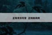 正阳竞价托管  正阳拍卖网