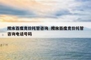 陵水百度竞价托管咨询  陵水百度竞价托管咨询电话号码