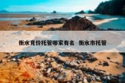 衡水竞价托管哪家有名  衡水市托管
