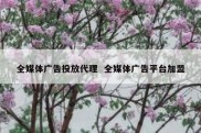 全媒体广告投放代理  全媒体广告平台加盟