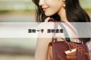 涨粉一千  涨粉速度