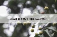 dou流量上热门  抖音dou上热门