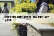 汉口竞价代运营托管费用  武汉竞价托管外包公司