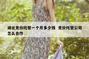 湖北竞价托管一个月多少钱  竞价托管公司怎么合作