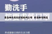青岛神马竞价托管机构公司  青岛神马物流