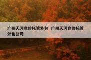 广州天河竞价托管外包  广州天河竞价托管外包公司