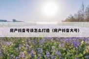 房产抖音号该怎么打造（房产抖音大号）