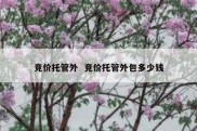 竞价托管外  竞价托管外包多少钱