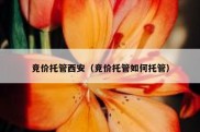 竞价托管西安（竞价托管如何托管）