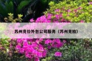 苏州竞价外包公司服务（苏州竞拍）