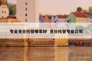 专业竞价托管哪家好  竞价托管专业公司