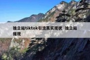 独立站tiktok引流真实现状  独立站提现