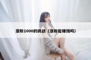 涨粉1000的挑战（涨粉能赚钱吗）