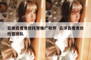 云南百度竞价托管推广软件  云浮百度竞价托管团队