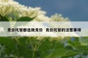 竞价托管都选微竞价  竞价托管的注意事项