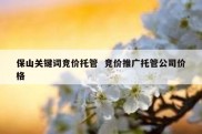 保山关键词竞价托管  竞价推广托管公司价格