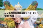 sem竞价托管运营公司竞价托管  竞价托管推广服务
