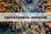 万柏林抖音代运营是什么  运城抖音代运营
