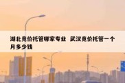 湖北竞价托管哪家专业  武汉竞价托管一个月多少钱