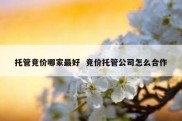 托管竞价哪家最好  竞价托管公司怎么合作