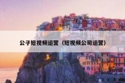 公子短视频运营（短视频公司运营）