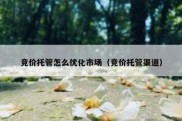 竞价托管怎么优化市场（竞价托管渠道）