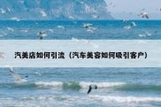 汽美店如何引流（汽车美容如何吸引客户）