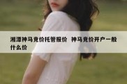 湘潭神马竞价托管报价  神马竞价开户一般什么价