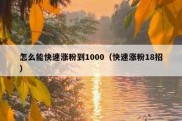 怎么能快速涨粉到1000（快速涨粉18招）