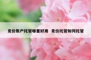 竞价账户托管哪里好用  竞价托管如何托管