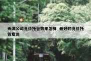 天津公司竞价托管效果怎样  最好的竞价托管费用