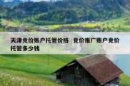 天津竞价账户托管价格  竞价推广账户竞价托管多少钱