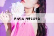 网站引流  网站引流平台