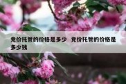 竞价托管的价格是多少  竞价托管的价格是多少钱