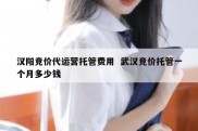 汉阳竞价代运营托管费用  武汉竞价托管一个月多少钱