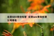 北京SEO竞价托管  北京seo竞价托管公司排名