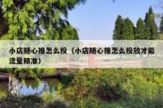 小店随心推怎么投（小店随心推怎么投放才能流量精准）