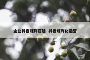 企业抖音矩阵搭建  抖音矩阵化运营