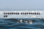 长沙竞价账号托管  长沙竞价账号托管怎么收费