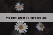 广东竞价托管定制（竞价托管专业团队）