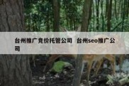 台州推广竞价托管公司  台州seo推广公司