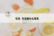 引流  引流是什么意思