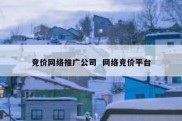 竞价网络推广公司  网络竞价平台