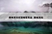 聊城竞价托管哪家专业  聊城竞标