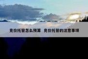 竞价托管怎么预算  竞价托管的注意事项