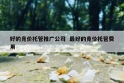 好的竞价托管推广公司  最好的竞价托管费用